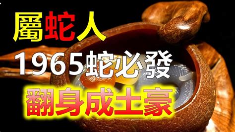 屬蛇 個性|【屬蛇 個性】屬蛇個性：2024年歲數大公開！性格剖析與運勢預。